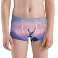 thumbnail image 5 of Yiaed Night Sky Elk Print Boys' Boxer Briefs Cotton Casual Stretch Comfort Boys Boxers - Kids Boxer Briefs Underwear for Boys (6-18)-Small, 5 of 5