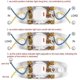 thumbnail image 4 of Interruptor de luz de línea, 5 piezas de CA 250 V 10 A, interruptor basculante de encendido/apagado compacto, interruptor de palanca, cable LED, botón de terminal de soldadura (blanco), 4 of 5