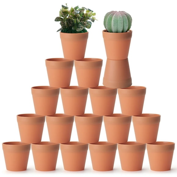 FAMILY 20 Pièces pots de Pépinière de Petits pots de Fleurs Mini 3 Pouces pots de Fleurs en Argile, pots de Fleurs de Cactus, pots de Fleurs de Pépinière Succulents avec des Trous de Drainage. (Résine)