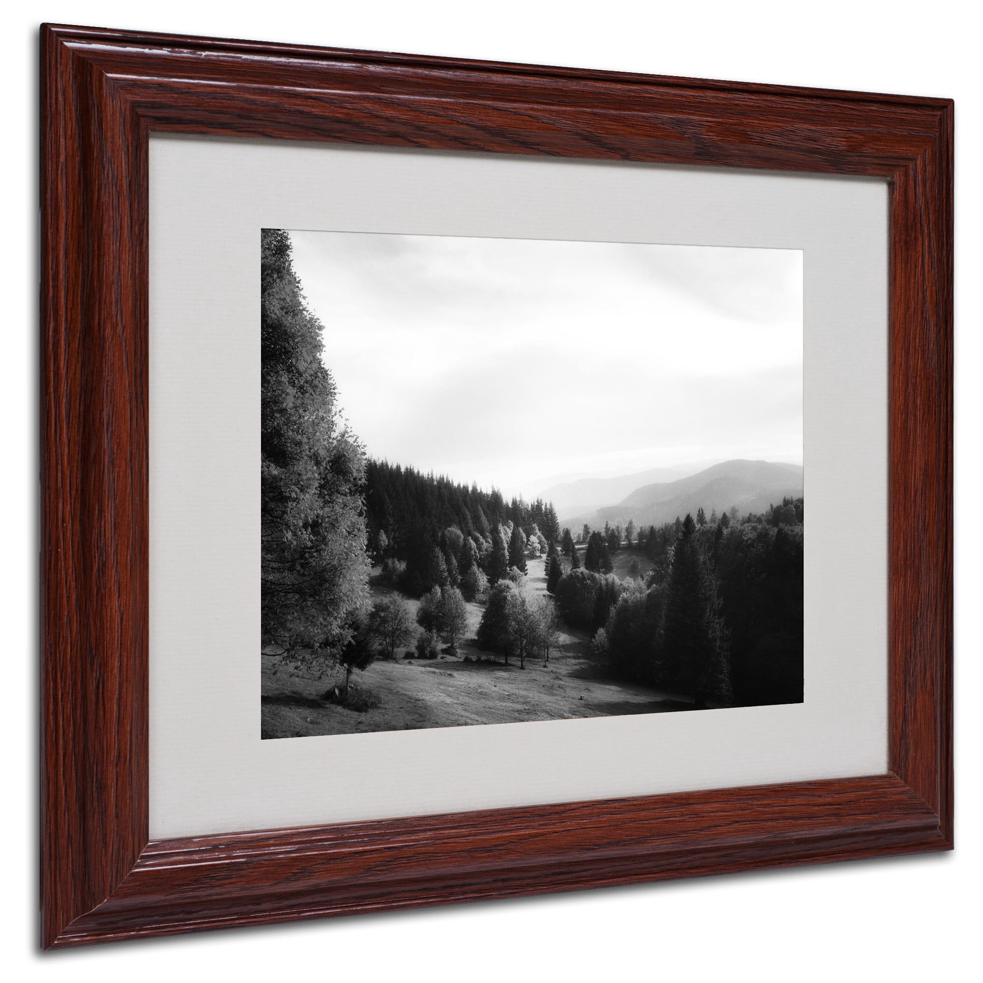 Trademark Fine Art "Spotlight" Canvas Art by Philippe Sainte-Laudy, Wood Frame