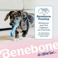 thumbnail image 6 of Benebone Puppy 2-Pack Rubber Bone/Wishbone Bacon Tiny, 6 of 6