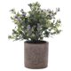 thumbnail image 1 of Maceta de flores falsa, escritorio, mini flor de plástico artificial en maceta, decoración del hogar, simulación, bonsái, púrpura Scienceny HA8896-02B, 1 of 6