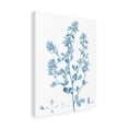 thumbnail image 2 of Vision Studio 'Antique Botanical in Blue VIII' Canvas Art, 2 of 3