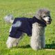 thumbnail image 4 of unbranded Para Perro De Mezclilla Azul Con Botones Para Uso Exterior, 4 of 6