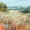 Unframed, variant on Art.com Lost in the Grasses Art Print by Danhui Nai, 24" x 24"