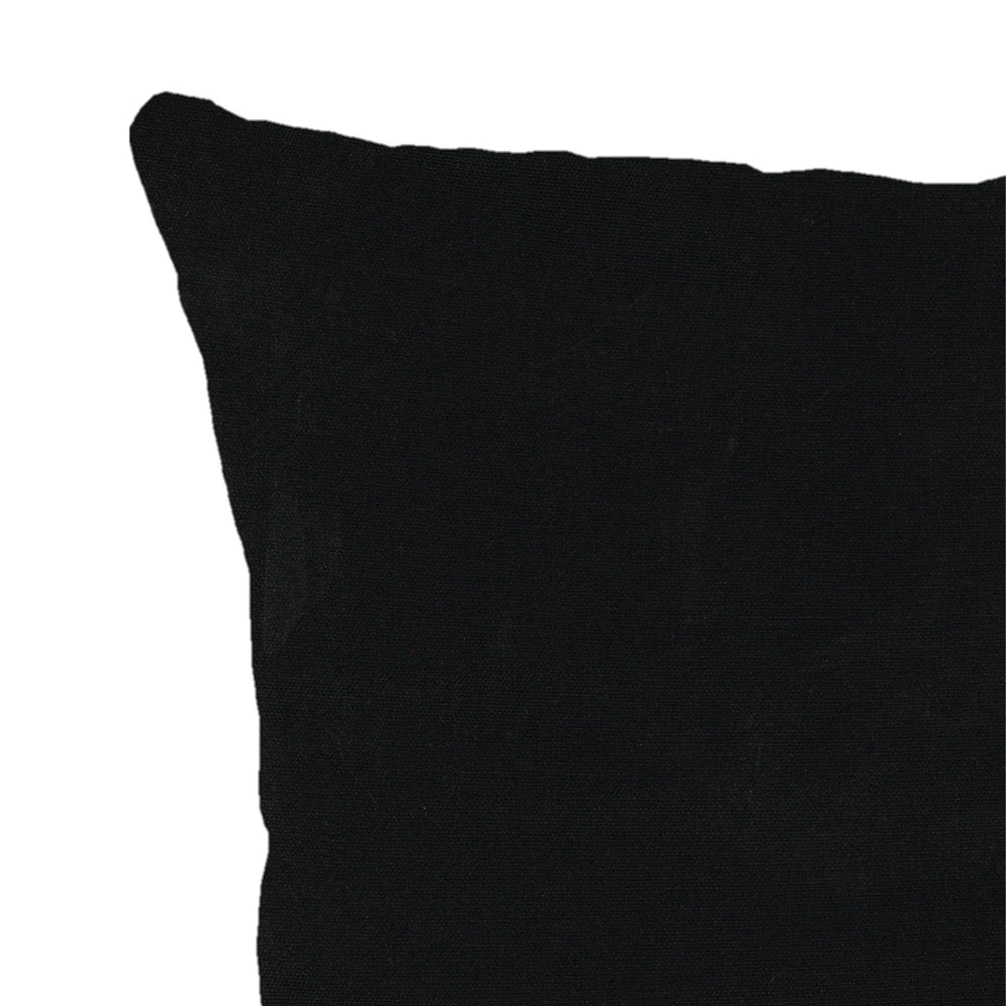 Jordan Manufacturing 20" x 20" Canvas Black Solid Square Outdoor Throw Pillow (2 Pack)