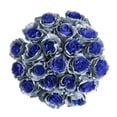 thumbnail image 2 of Painted Ural Roses - Farm Direct Fresh Cut Flowers - 50 Stems, 2 of 10