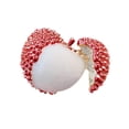 thumbnail image 4 of Broche De Lichi, Adorno Decorativo De Moda Para Bufandas, Vestidos Y Suéteres., 4 of 9