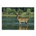 thumbnail image 1 of Deer Cutting Board, Mountain Animal in the Water a Forest Background Male Mammal Freedom Habitat, Decorative Tempered Glass Cutting and Serving Board, Small Size, Green Brown, by Ambesonne, 1 of 1