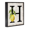 thumbnail image 3 of Stupell Industries French Country H with Lemon Letter Black Framed Giclee Art, 12 x 12, by Creatif Belle, 3 of 8