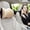 Beige, variant on 2 Pack Car Headrest Pillow, Comfy Head Rest Pillow for Car, 100% Memory Foam Car Neck Pillow for Driving - Universal Fit Travel Car Pillow for Pain Relief While Driving(Comes with 2 Eye Masks)