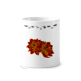 thumbnail image 1 of Flor planta la semilla del loto rojo flor de loto Taza de cepillo de dientes, 1 of 3