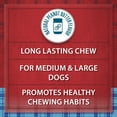 thumbnail image 3 of Ol' Roy Long-Lasting Jumbo Munchy Bone, Peanut Butter, 9.2 oz, 3 of 9