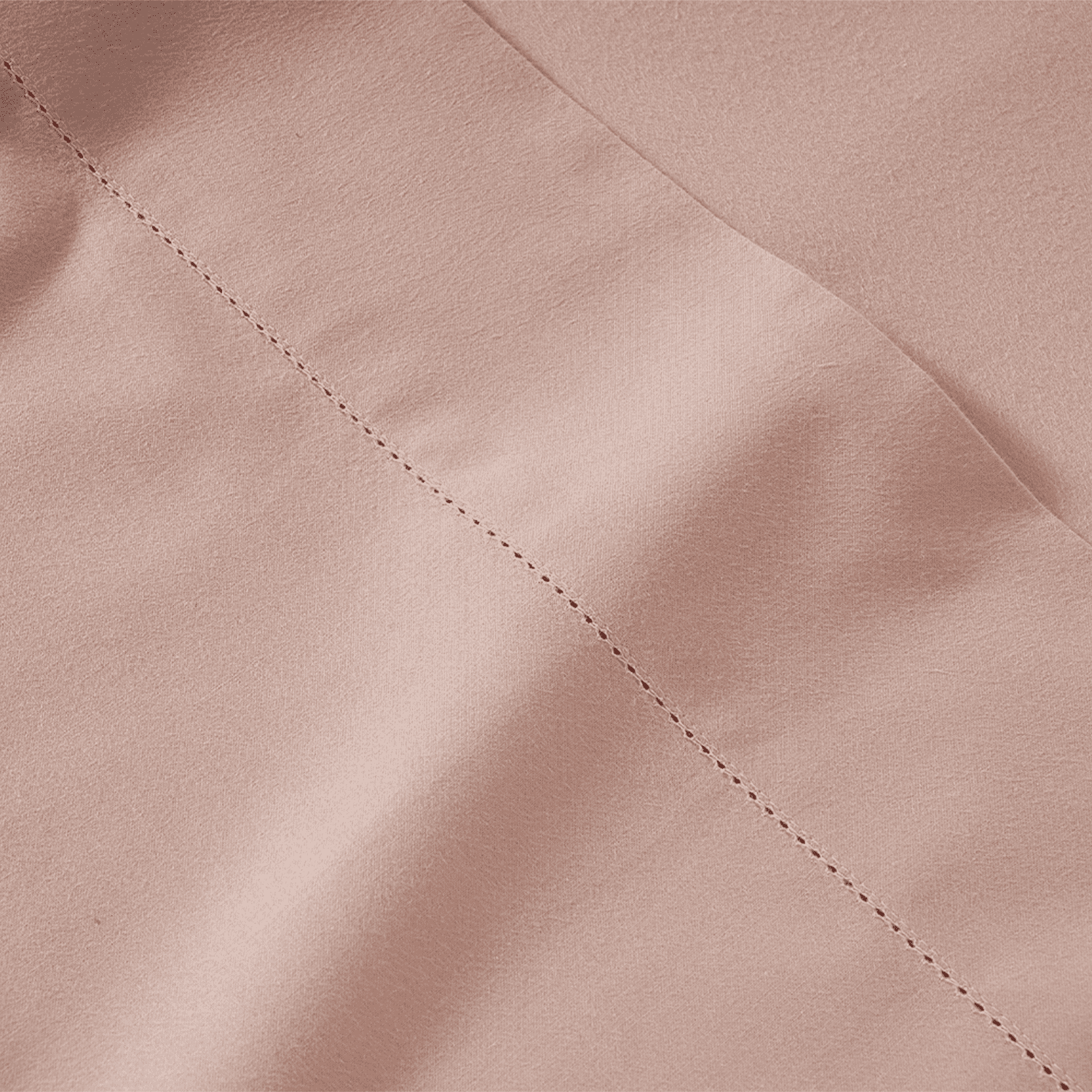 Sepia Rose