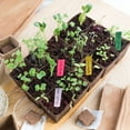 thumbnail image 4 of KINJOEK 1200 PCS 4 x 0.8 inch Plastic Plant Labels, Reusable Plastic Label Plant Tags for Garden, Including 3 Marker Pens, 4 of 6