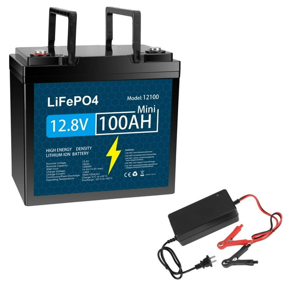 12V 100Ah LiFePO4 Lithium Battery with 10A Charger, Built-in 100A BMS, for Boat