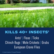 7002686 INSECT KLLR GROUND 10# BioAdvanced Granules Insect Killer 10 lb (Pack of 1)