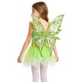 thumbnail image 2 of Hansber Kids Girls Sleeveless Camisole Leotard Tutu Dress with Fairy Wings 2-Piece Fairytale Princess Outfits Set Green 6, 2 of 6