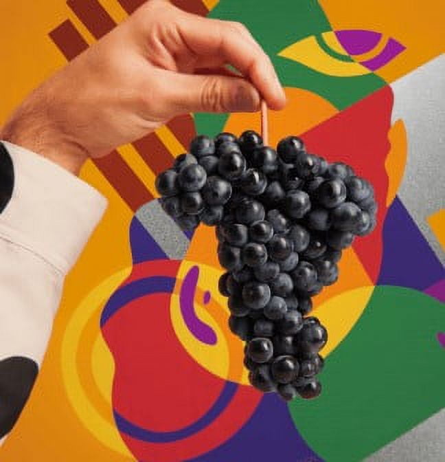 Campo Viejo Tempranillo Red Wine Rioja Spain 750 ml Glass Bottle 13.5% ABV with Rich Flavor Notes