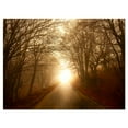 thumbnail image 2 of Design Art - Chemin vers la Lumière du Soleil en Forêt d'Automne, 2 of 4