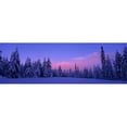 thumbnail image 1 of Forest In Winter  Dalarna  Sweden Poster Print by  - 36 x 12, 1 of 1