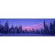 Panoramic Images PPI23764L Forêt en Hiver Imprimé Affiche par Panoramic Images - 36 x 12 – image 1 sur 1