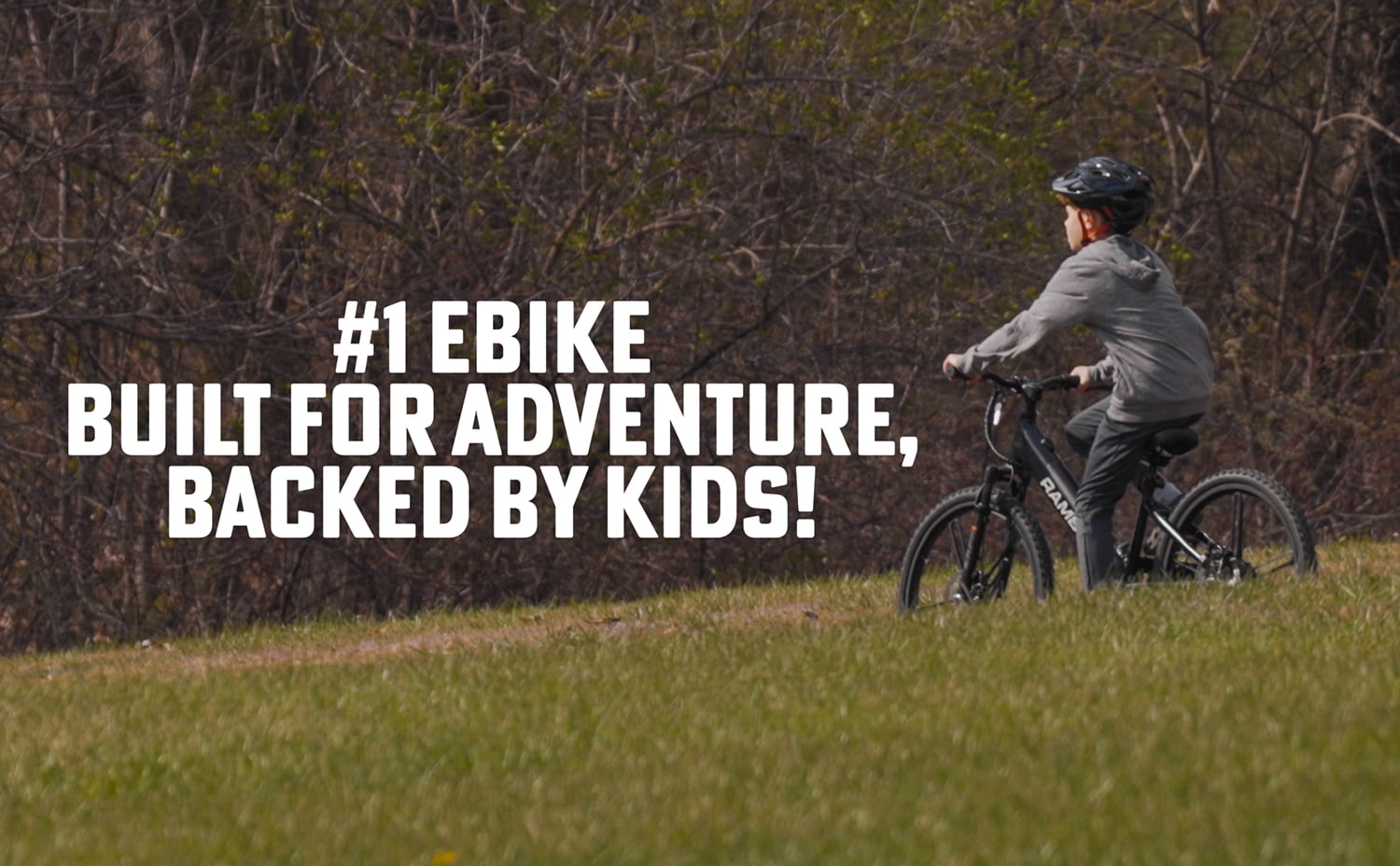 Chameleon 1.0-BK  EBike, 250W Rear Hub, Front Suspension, Pedal Assist, Adjustable Power Setting Electric Bike