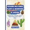 Foraging: The Ultimate Beginners Guide to Foraging Wild Edible Plants ...