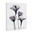 thumbnail image 2 of Stupell Industries Modern Bountiful Dusk Flowers Canvas Art, 24 x 30, by Albert Koetsier, 2 of 7