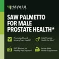 thumbnail image 2 of Havasu Saw Palmetto Capsules, Dietary Supplement for Men, 100 Count, 2 of 9