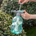 View all media