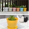thumbnail image 4 of 5.5" Plastic Plant Pots 8-Pack, Medium Flower Planter with Drainage Hole and Saucer, Classic Indoor Outdoor, Plant Pots for Orchid, Peace Lily, Spider Plant, Snake Plant and All House Plants, 4 of 7