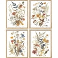 thumbnail image 3 of PixonSign Framed Wall Art Modern Dried Flower Exhibition Posters, Set of 4 Colorful Wildflowers Botanical Illustrations Wall Decor, Farmhouse Adhesive Canvas Prints for Home Decor -, 3 of 5