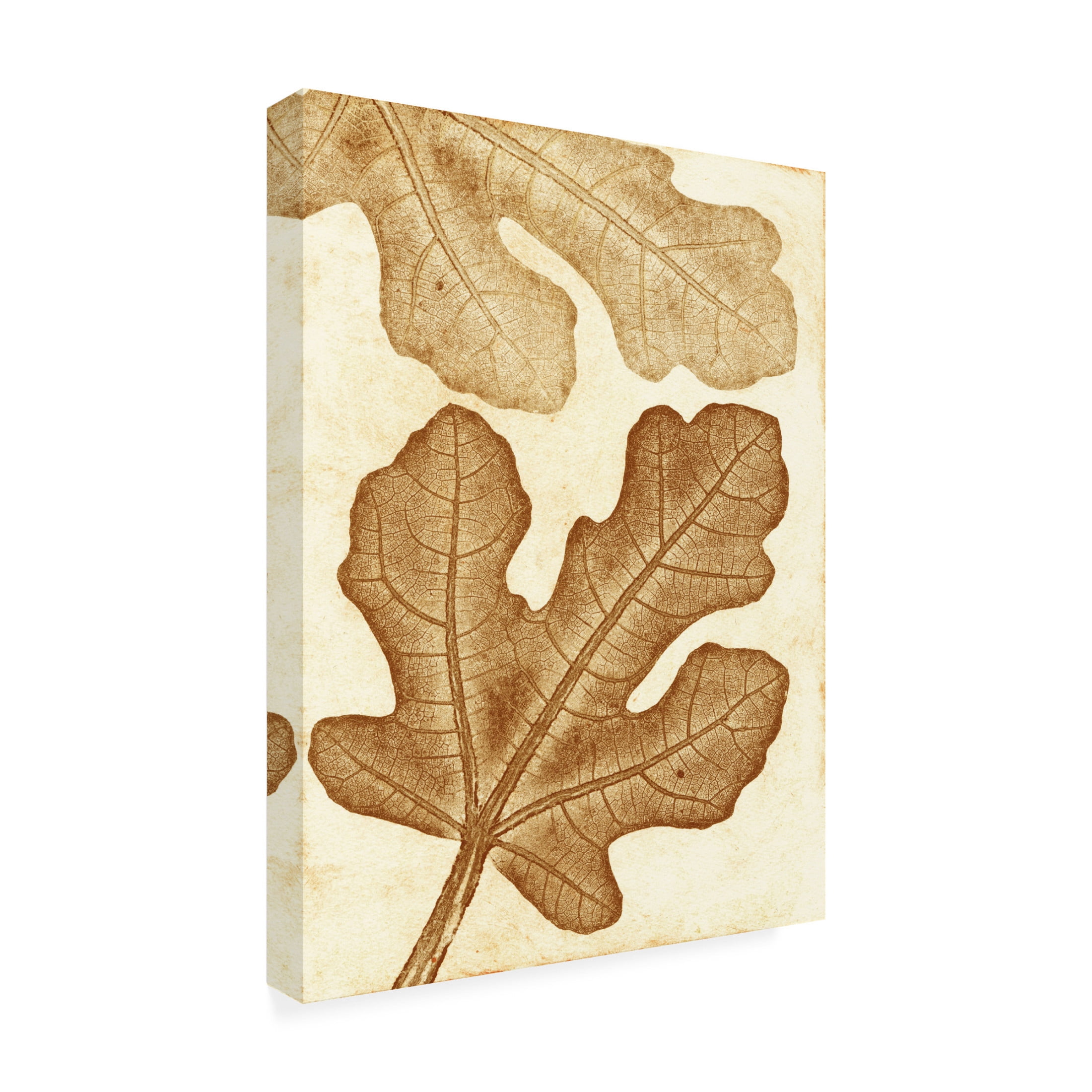 Canvas Wall Art - Pernille Folcarelli 'Fig Ochre' Wall Art for Living Room, Bedroom, or Office Décor by Trademark Fine Art - 18 x 24 Inches