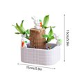 thumbnail image 2 of Desktop Ornament,Brazilwood Easy To Grow Indoor Tabletop Hydroponic Planter Green For Home And,Home Decor, 2 of 6