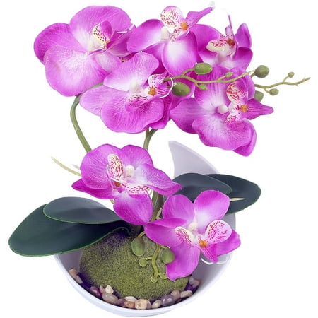 Artificial Purple Phalaenopsis Orchid Flower Arrangement with Pot. Made with Lifelike silk and real looking Plastic. Makes a great Decoration for Home  Office  or Wedding. (2 Pack) Artificial Purple Orchid Flower Arrangement with Pot (2 Pack) Overview: This artificial purple orchid is made by high quality silk cloth for each petal. Stems are made of plastic. It has a very natural look. STYLE: No maintenance  no watering easy to clean. Perfect for all seasons. Our stylish artificial phalaenopsis orchid will add beauty to any room decor. USAGE: Desktop decoration  kitchen flowers artificial for decoration  studio decor  fake orchid plants for home decor  enhance indoor decor with artificial phalaenopsis orchid faux plants. Beautiful artificial flowers with vase for office  artificial orchid flowers for living room decor  artificial orchid flowers for bedroom fake orchids for kitchen decor  artificial phalaenopsis orchid wedding centerpiece  party table centerpiece of orchids artificial flowers. QUALITY: Realistic silk flowers with stems  our artificial rose orchids feel real to the touch. Premium silk flower decorative plants to enhance any room decor. The quality of our silk orchids is unmatched. The premium choice for silk flowers with stems. GREAT GIFT: Artificial orchids for Valentine s Day Gift or Mother s Day Gifts. Give an artificial phalaenopsis orchid as a wife birthday gift. Give this nearly natural orchid plant for any occasion. These beautiful artificial orchid flowers will bring joy to any loved one. Specs: Length: 7  Width: 10  Height: 5  Package Qty: (2) Orchid Flower Arrangement