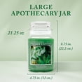 thumbnail image 6 of Village Candle Eucalyptus Mint Scented Candle, Large 21.25 oz Apothecary Jar, 6 of 9
