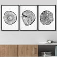 thumbnail image 3 of wall26 Framed Wall Art Print Set Black and White Wood Grain Tings Nature Wilderness Digital Art Modern Art Rustic Scenic Colorful for Living Room, Bedroom, Office - 16"x24"x3 Black, 3 of 5