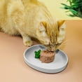 thumbnail image 3 of Cat Dishes for Food and Water, Multifunctional Silicone Feeding Bowl for Dogs and Cats, Safe and Durable, Suitable for Cat Bowls as well as Wet and Dry Food Bowls, Green, 3 of 8