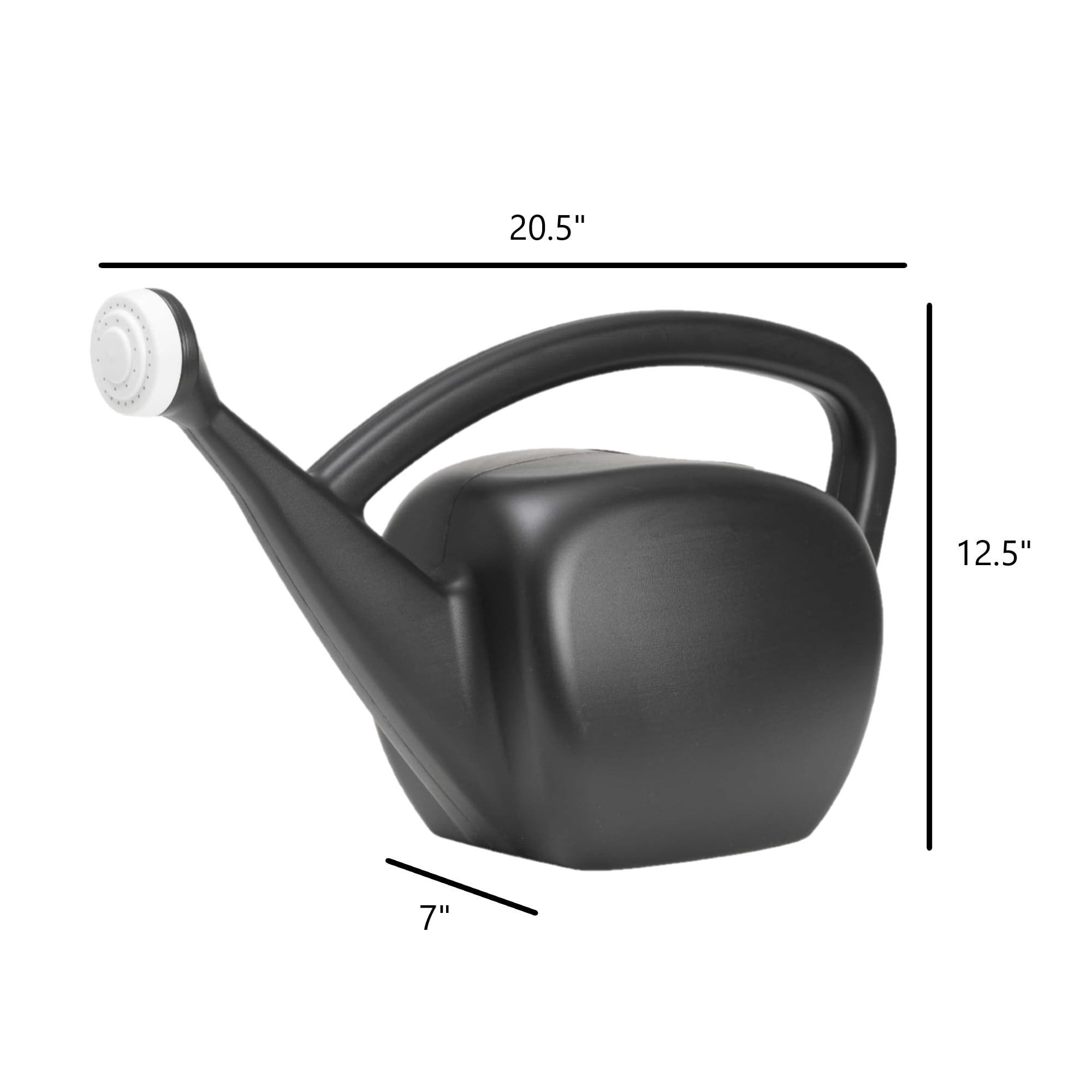 Novelty Root & Vessel 2 Gal. Lime Black Mid-Mod Watering Can 31006