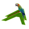 thumbnail image 4 of Tueuio1, Perroquet Jouet Oiseau Intelligence Formation Slide et Ramper Échelle Perroquet - Snngv, 4 of 5