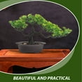 thumbnail image 3 of unbranded Planta Bonsái Artificial Para Escritorio Hogar Y Oficina Verde Multicolor, 3 of 7