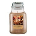 thumbnail image 1 of Vela Aromatica Hometrends Apples & Cinnamon Pie Aroma 500 G, 1 of 4