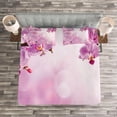 thumbnail image 3 of Ambesonne Pink Quilted Bedspread Set 3 Pcs, Orchid Spring Petals Spa, King Size, Pink, 3 of 3