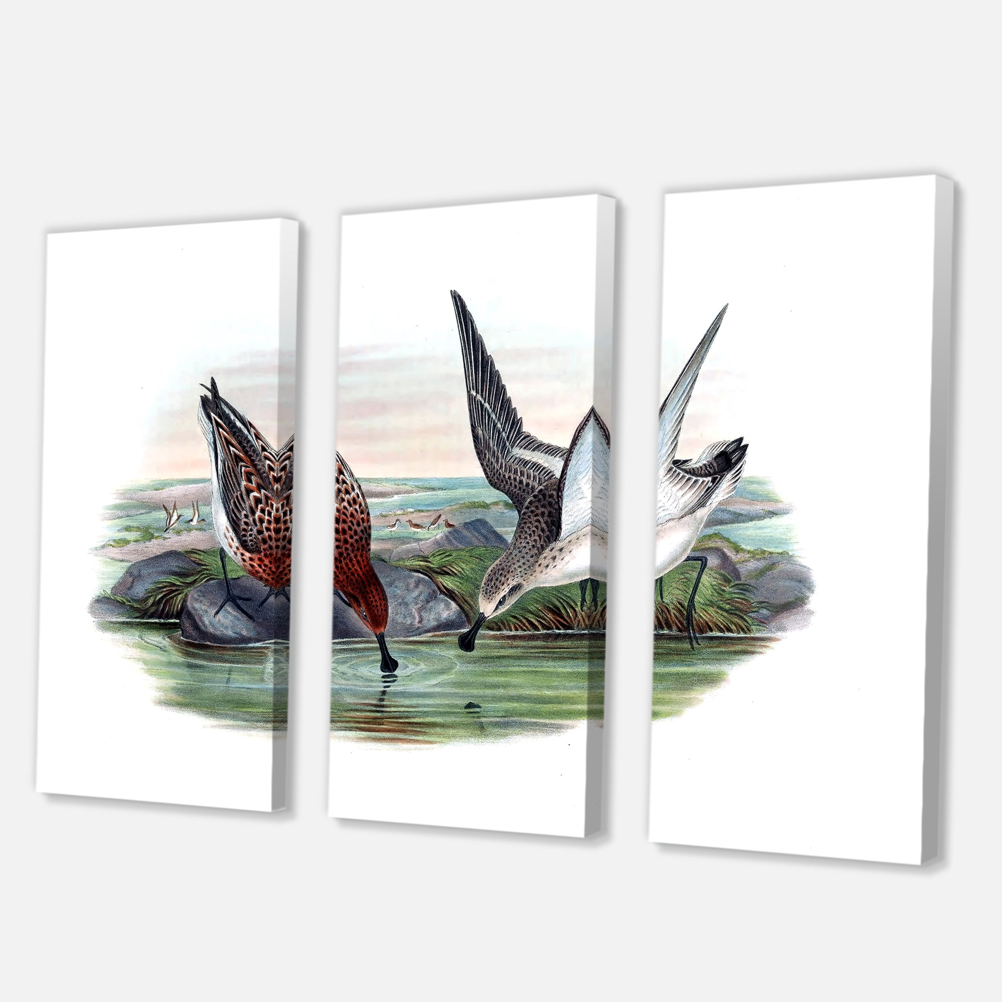 Designart ' Vintage Countryside Two Birds In Lake ' Farmhouse Canvas Wall Art Print