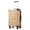 Champagne, variant on Hardside Carry-On Luggage with TSA Lock, Spinner Wheels, Telescopic Handle, Lightweight Suitcase (Lake Blue, S(20in_carry on))