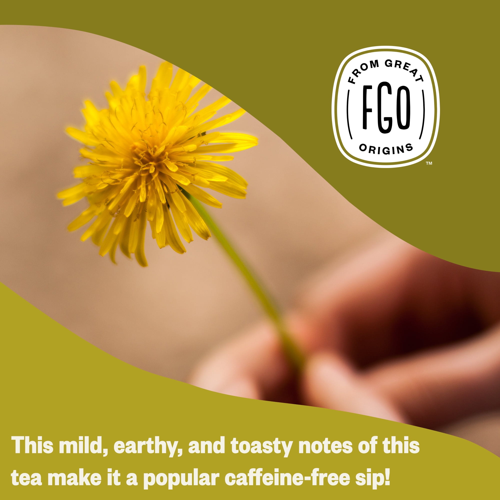 FGO Dandelion Root Tea, Organic, 20 Count