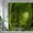 23, variant on Nature Forest Landscape Shower Curtains Green Plants Trees Rainforest Scenery Garden Wall Hanging Home Bathroom Decor with