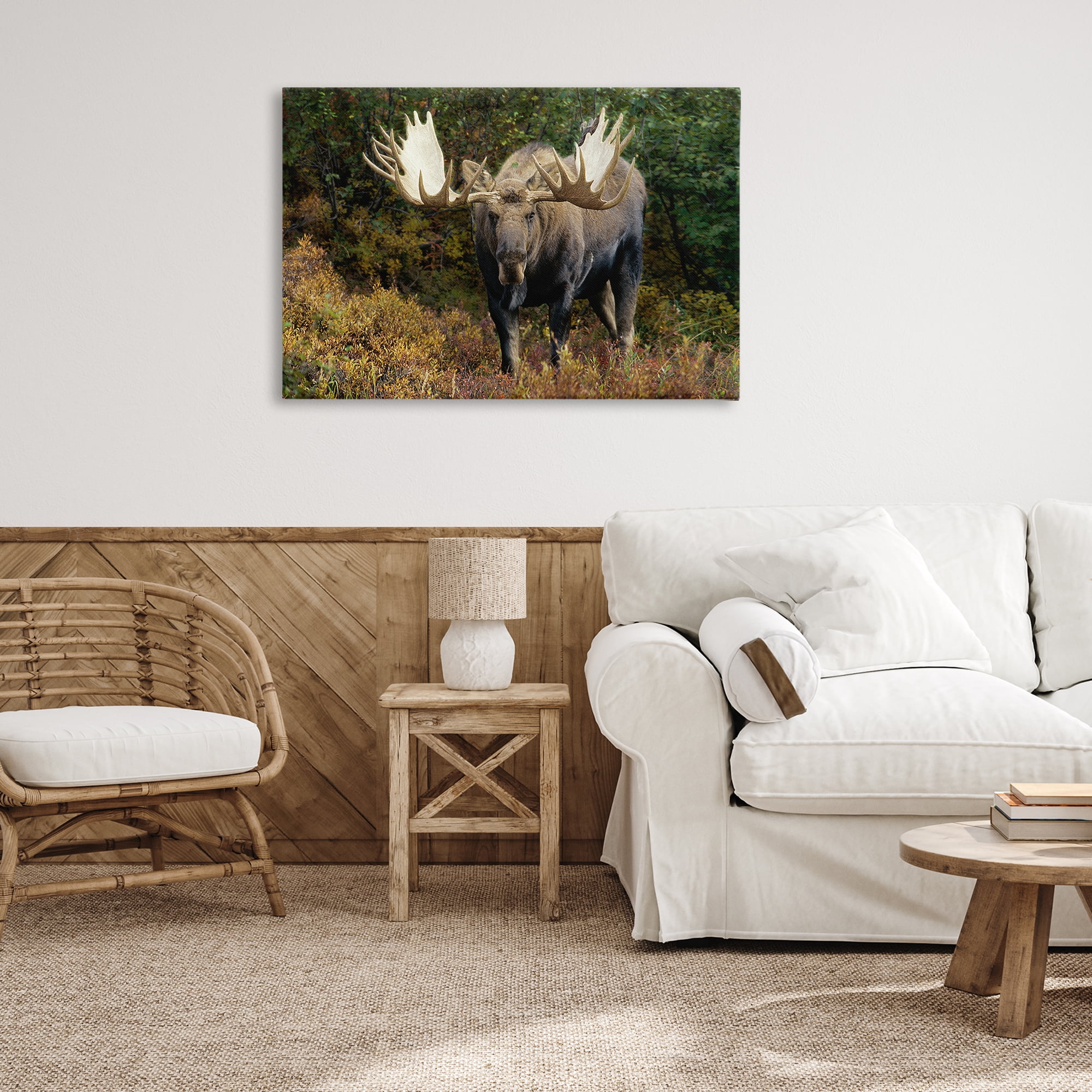 Stupell Industries Bull Moose Face Off Animals Photography Wrapped Canvas Art Print Wall Art, 36 x 24