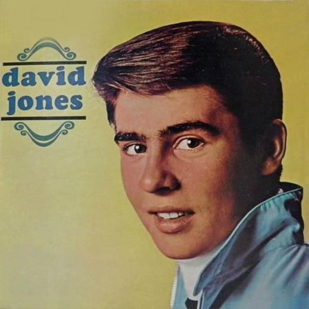 Davy Jones - David Jones - Music & Performance - Vinyl